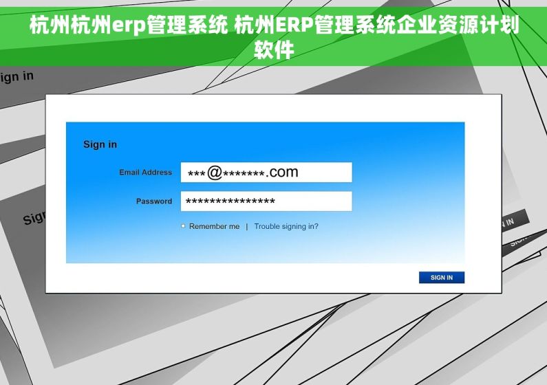 杭州杭州erp管理系统 杭州ERP管理系统企业资源计划软件