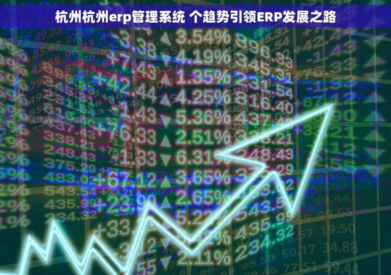 杭州杭州erp管理系统 个趋势引领ERP发展之路