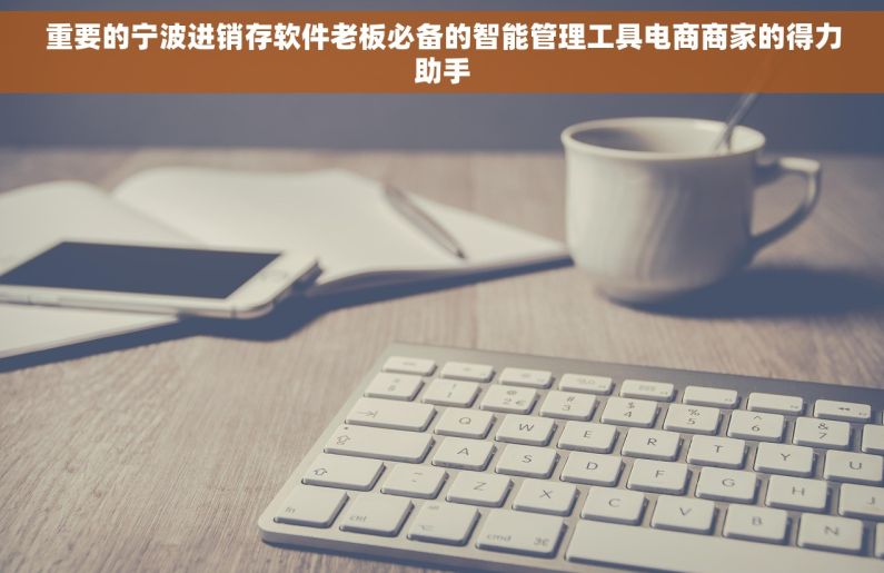 重要的宁波进销存软件老板必备的智能管理工具电商商家的得力助手