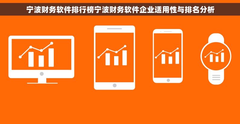 宁波财务软件排行榜宁波财务软件企业适用性与排名分析