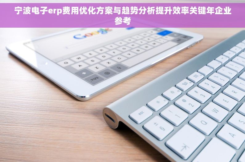 宁波电子erp费用优化方案与趋势分析提升效率关键年企业参考