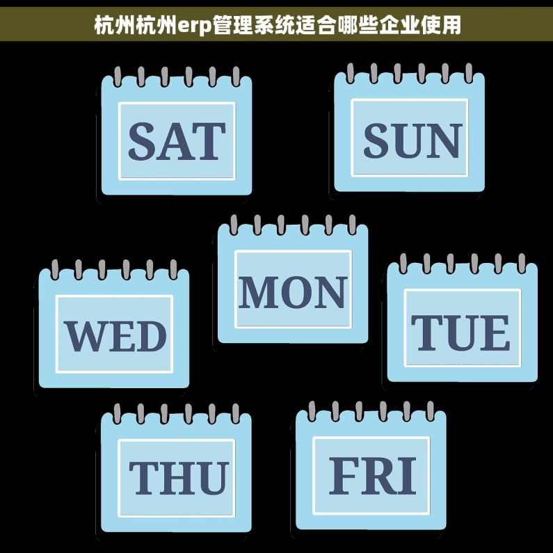杭州杭州erp管理系统适合哪些企业使用