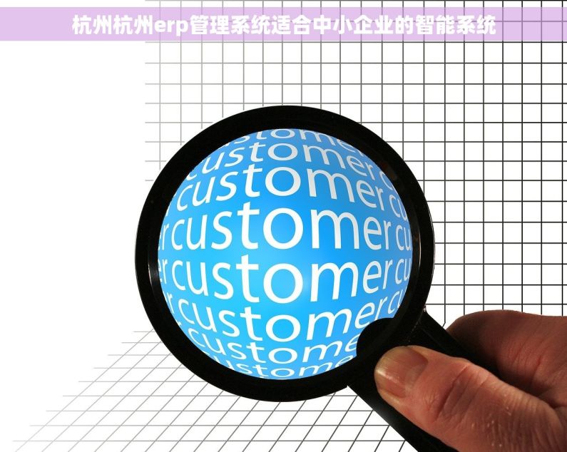 杭州杭州erp管理系统适合中小企业的智能系统