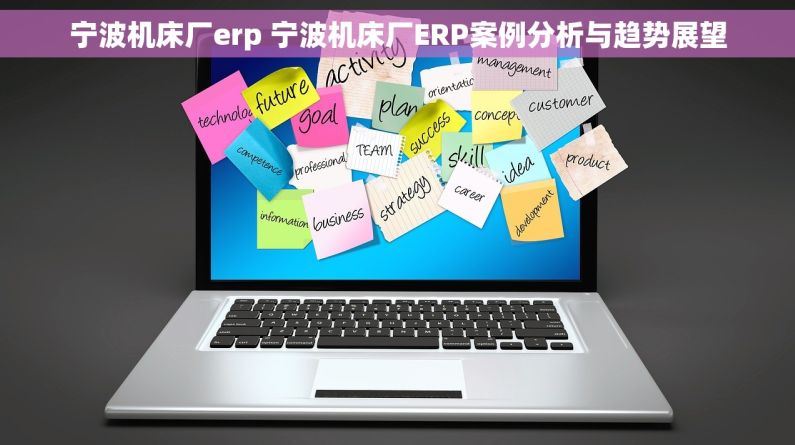 宁波机床厂erp 宁波机床厂ERP案例分析与趋势展望