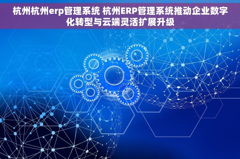 杭州杭州erp管理系统 杭州ERP管理系统推动企业数字化转型与云端灵活扩展升级