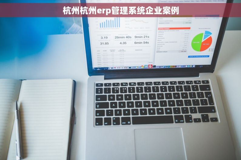杭州杭州erp管理系统企业案例