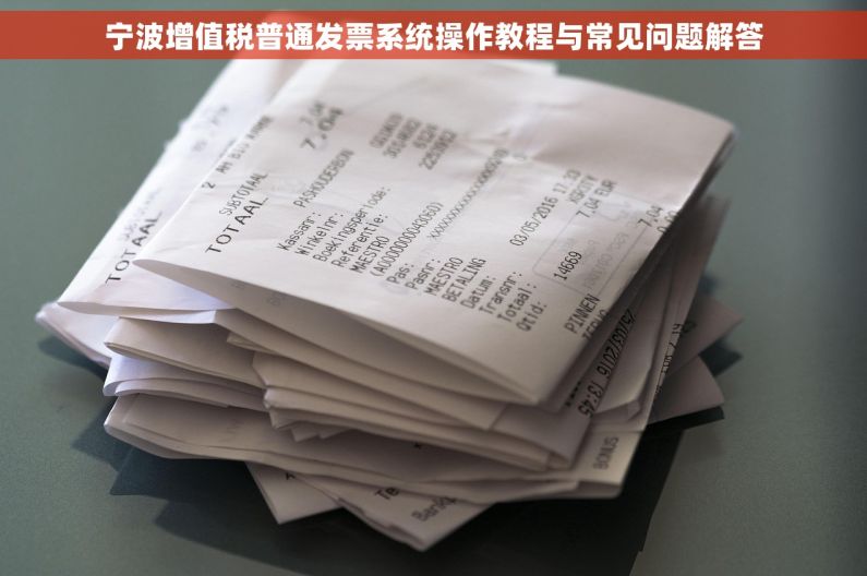 宁波增值税普通发票系统操作教程与常见问题解答