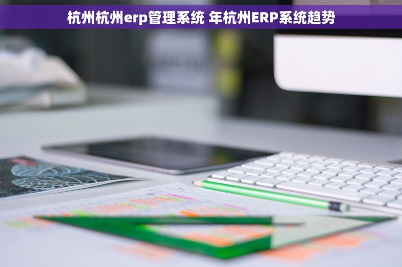 杭州杭州erp管理系统 年杭州ERP系统趋势