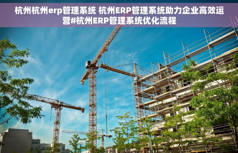 杭州杭州erp管理系统 杭州ERP管理系统助力企业高效运营#杭州ERP管理系统优化流程