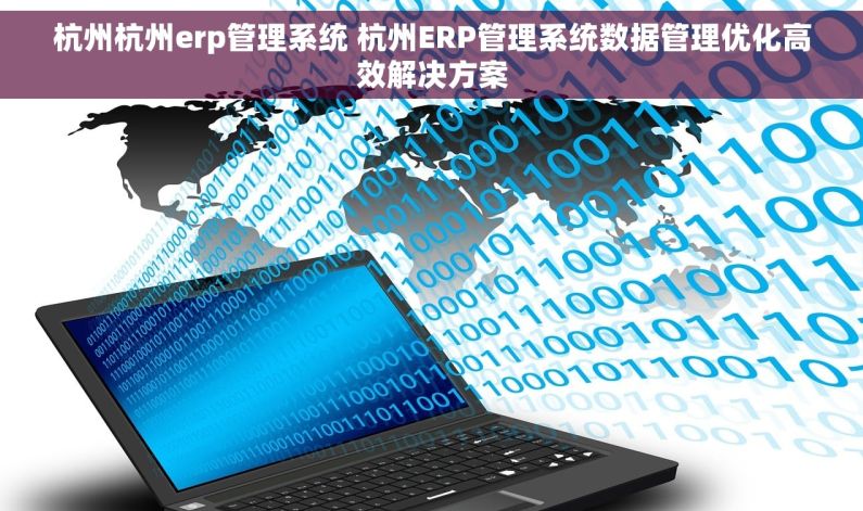 杭州杭州erp管理系统 杭州ERP管理系统数据管理优化高效解决方案
