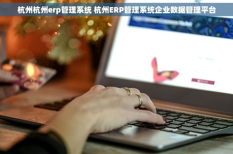 杭州杭州erp管理系统 杭州ERP管理系统企业数据管理平台