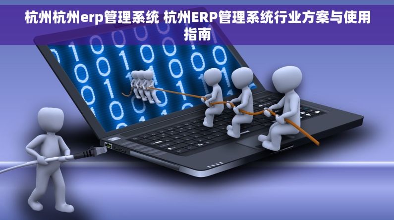杭州杭州erp管理系统 杭州ERP管理系统行业方案与使用指南