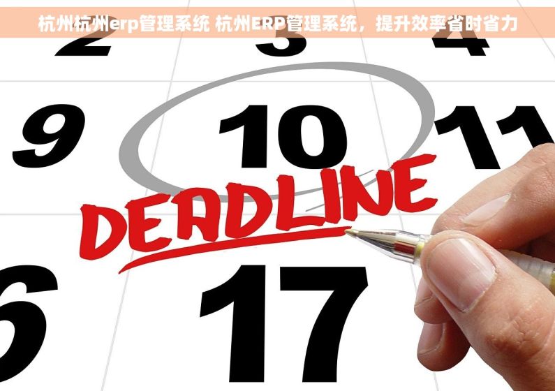 杭州杭州erp管理系统 杭州ERP管理系统，提升效率省时省力