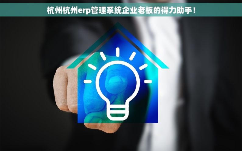杭州杭州erp管理系统企业老板的得力助手！