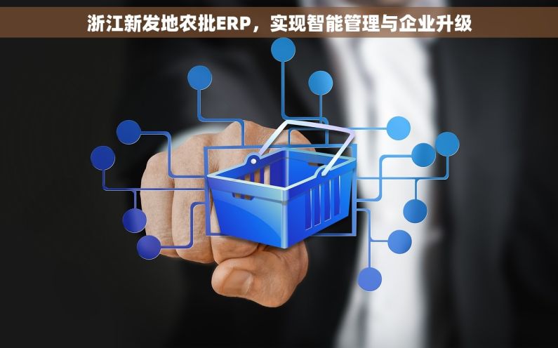 浙江新发地农批ERP，实现智能管理与企业升级