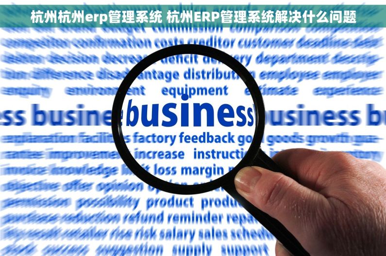 杭州杭州erp管理系统 杭州ERP管理系统解决什么问题