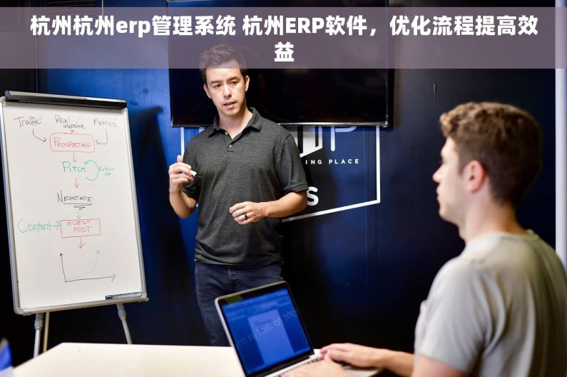 杭州杭州erp管理系统 杭州ERP软件，优化流程提高效益