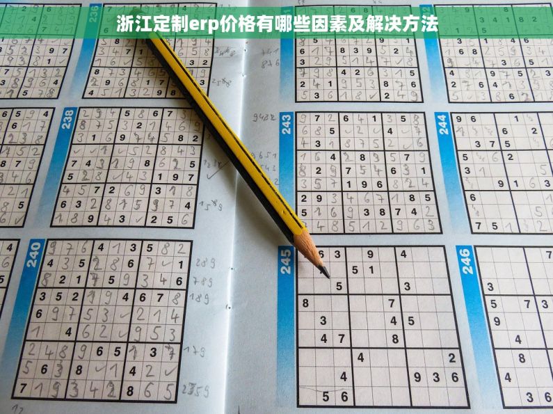 浙江定制erp价格有哪些因素及解决方法