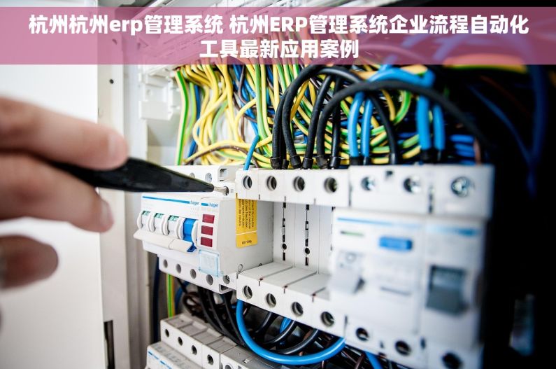 杭州杭州erp管理系统 杭州ERP管理系统企业流程自动化工具最新应用案例
