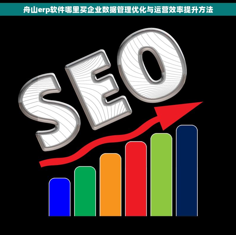 舟山erp软件哪里买企业数据管理优化与运营效率提升方法