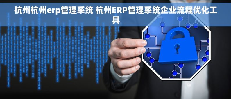杭州杭州erp管理系统 杭州ERP管理系统企业流程优化工具