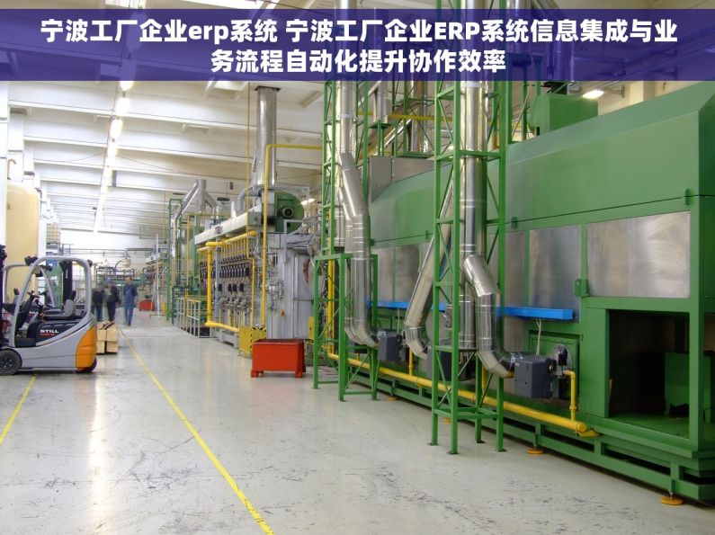 宁波工厂企业erp系统 宁波工厂企业ERP系统信息集成与业务流程自动化提升协作效率