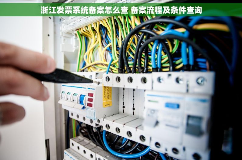 浙江发票系统备案怎么查 备案流程及条件查询