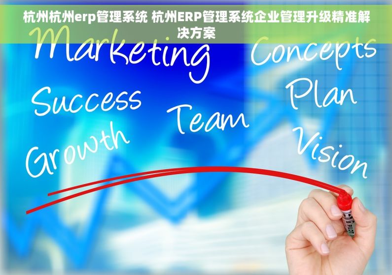 杭州杭州erp管理系统 杭州ERP管理系统企业管理升级精准解决方案