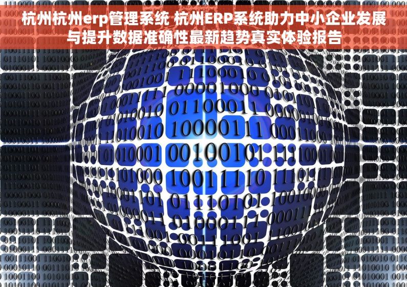 杭州杭州erp管理系统 杭州ERP系统助力中小企业发展与提升数据准确性最新趋势真实体验报告