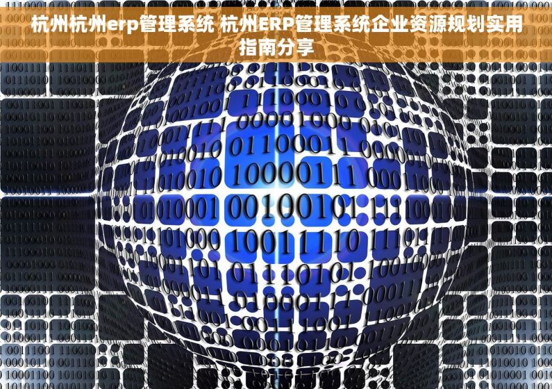 杭州杭州erp管理系统 杭州ERP管理系统企业资源规划实用指南分享