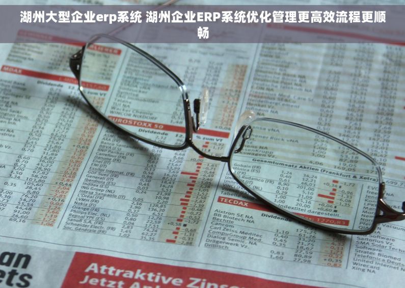 湖州大型企业erp系统 湖州企业ERP系统优化管理更高效流程更顺畅