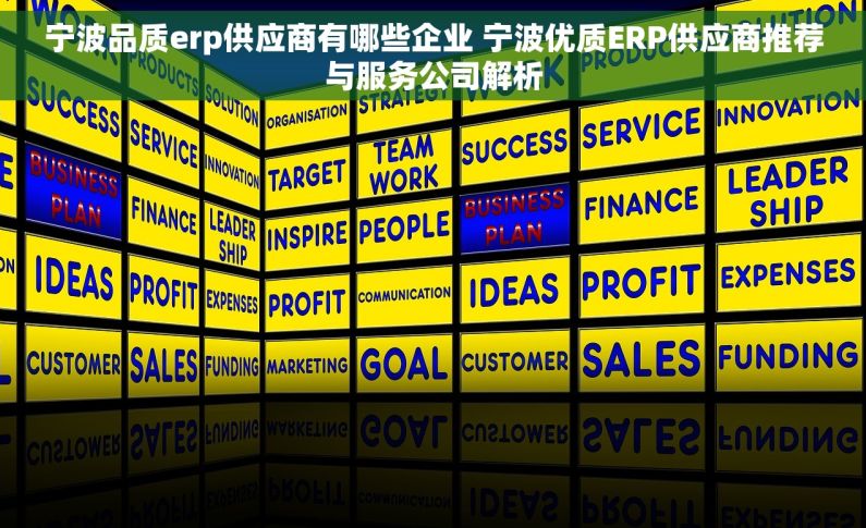 宁波品质erp供应商有哪些企业 宁波优质ERP供应商推荐与服务公司解析