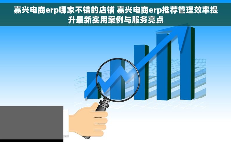 嘉兴电商erp哪家不错的店铺 嘉兴电商erp推荐管理效率提升最新实用案例与服务亮点