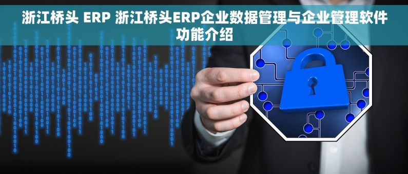 浙江桥头 ERP 浙江桥头ERP企业数据管理与企业管理软件功能介绍