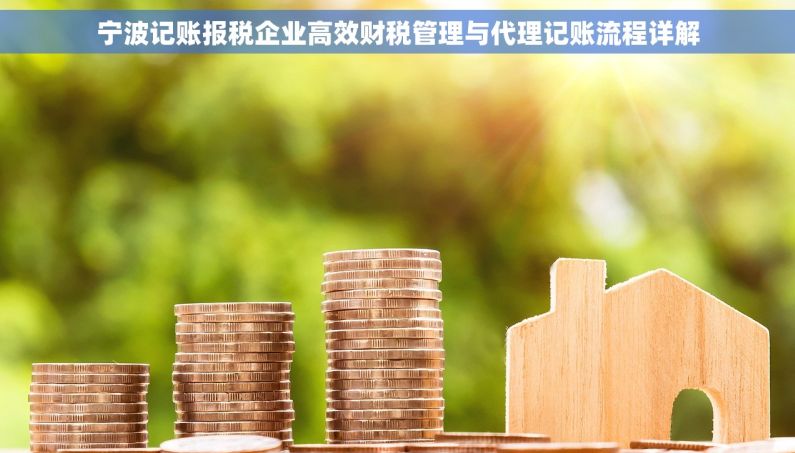 宁波记账报税企业高效财税管理与代理记账流程详解