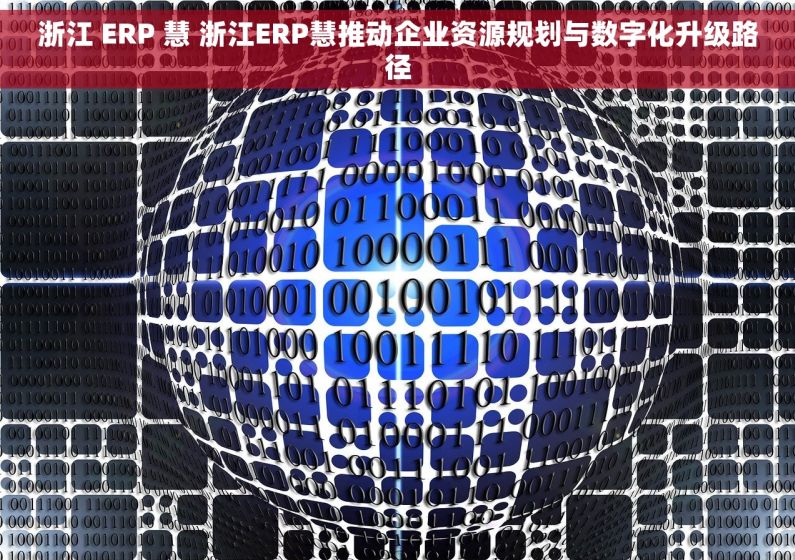 浙江 ERP 慧 浙江ERP慧推动企业资源规划与数字化升级路径