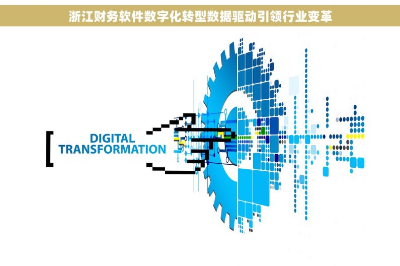 浙江财务软件数字化转型数据驱动引领行业变革