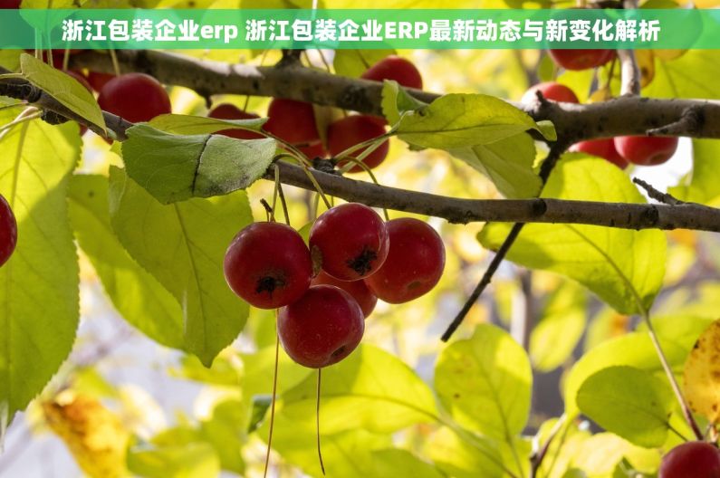 浙江包装企业erp 浙江包装企业ERP最新动态与新变化解析