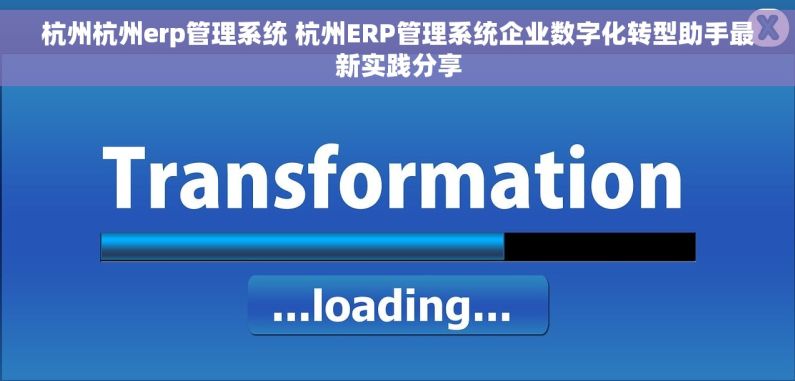 杭州杭州erp管理系统 杭州ERP管理系统企业数字化转型助手最新实践分享