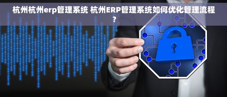 杭州杭州erp管理系统 杭州ERP管理系统如何优化管理流程？