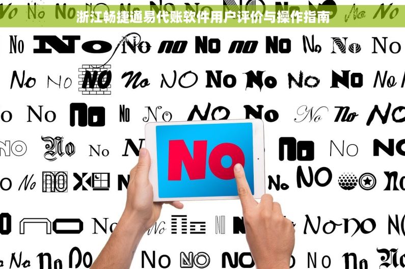 浙江畅捷通易代账软件用户评价与操作指南
