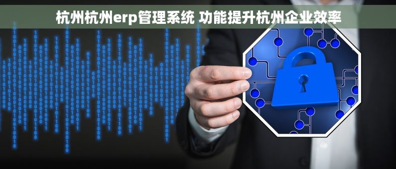 杭州杭州erp管理系统 功能提升杭州企业效率
