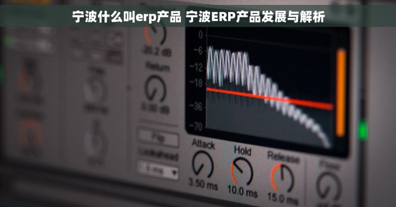宁波什么叫erp产品 宁波ERP产品发展与解析