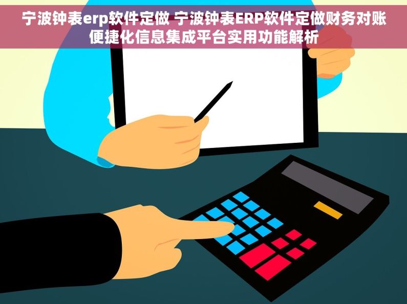 宁波钟表erp软件定做 宁波钟表ERP软件定做财务对账便捷化信息集成平台实用功能解析
