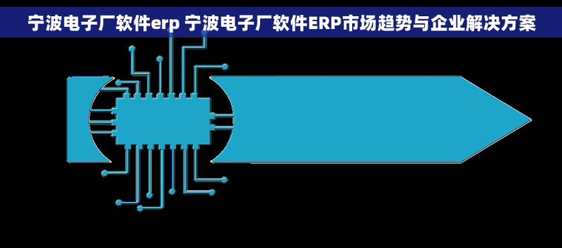 宁波电子厂软件erp 宁波电子厂软件ERP市场趋势与企业解决方案