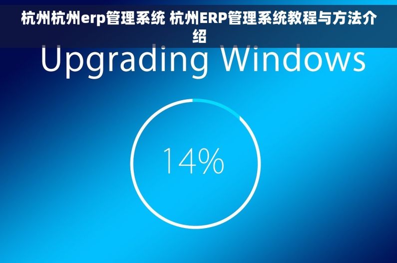 杭州杭州erp管理系统 杭州ERP管理系统教程与方法介绍