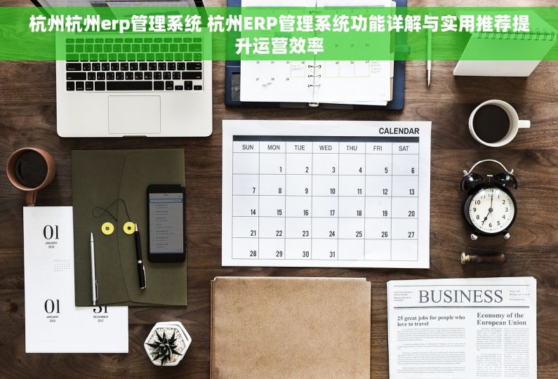 杭州杭州erp管理系统 杭州ERP管理系统功能详解与实用推荐提升运营效率