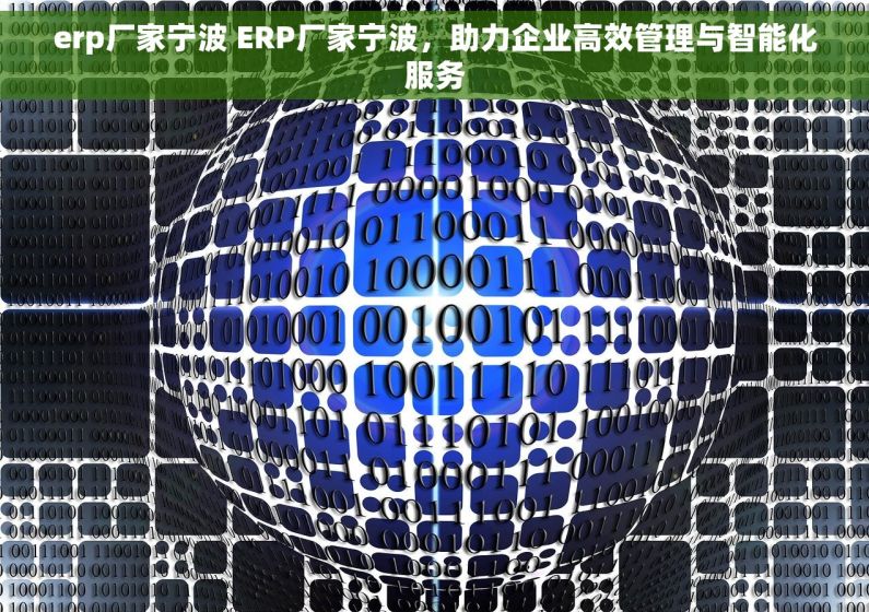 erp厂家宁波 ERP厂家宁波，助力企业高效管理与智能化服务