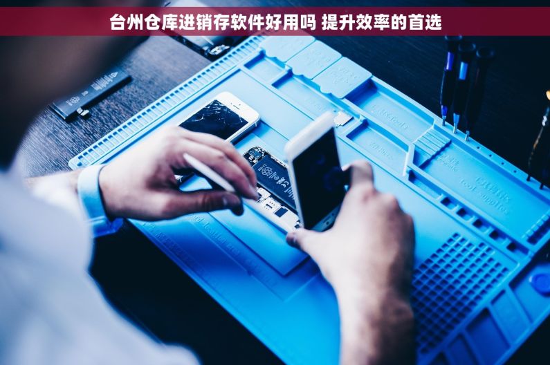 台州仓库进销存软件好用吗 提升效率的首选