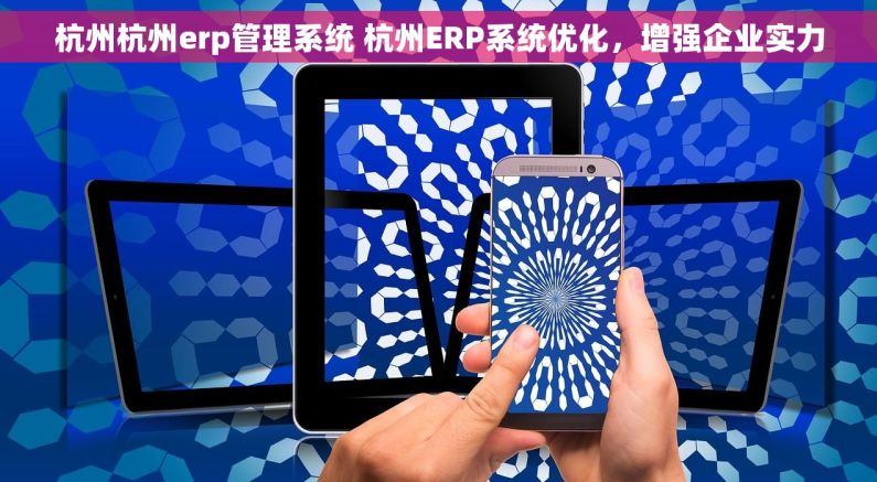 杭州杭州erp管理系统 杭州ERP系统优化，增强企业实力